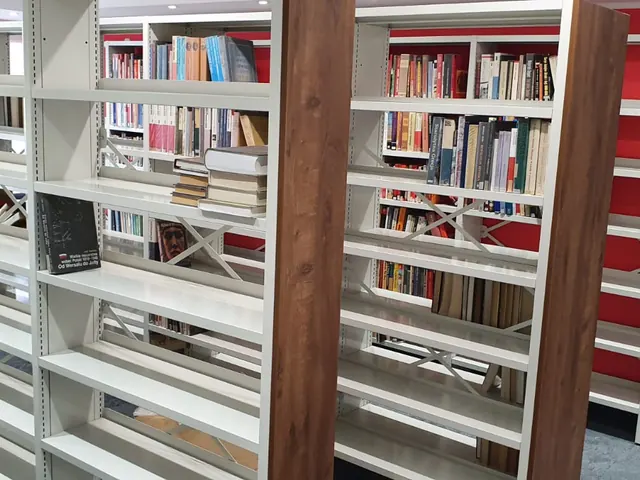 Scaffalature per biblioteche con libri